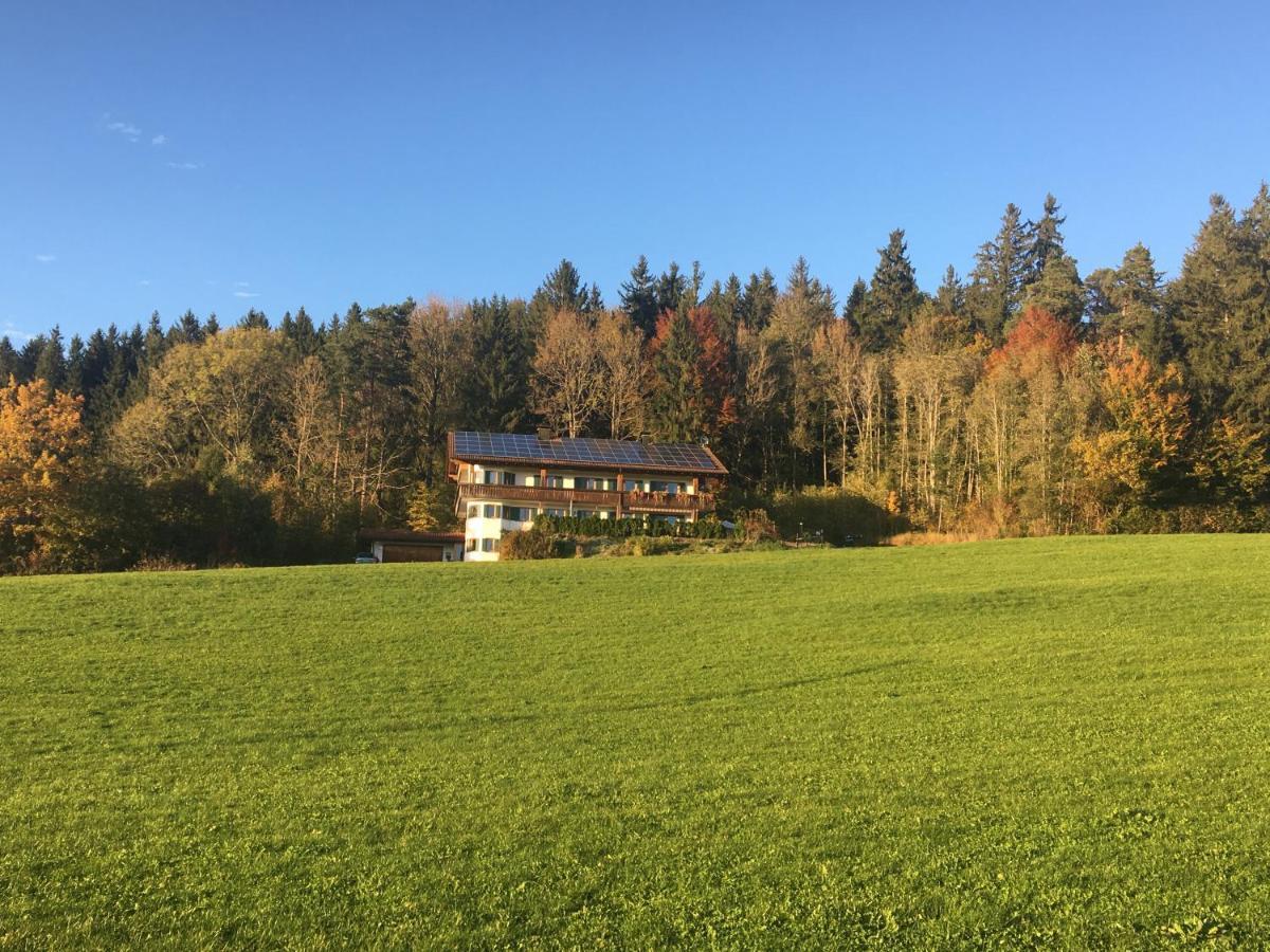 Апартаменты Ferienhaus Am Wald Friesenried Экстерьер фото